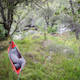 Illustration for article titled Why Hammocks Suck